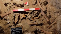 Di tích hóa thạch ở Italia gây chấn động về tổ tiên loài người