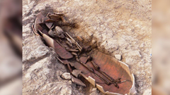 Pháp: Phát hiện 40 mộ cổ với hài cốt chôn trong bình