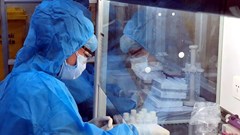 Bố, con, người giúp việc của vợ chồng từ Đà Nẵng về dương tính với SARS-CoV-2