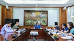 Xây dựng thêm phương án  online cho LHP Việt Nam XXII