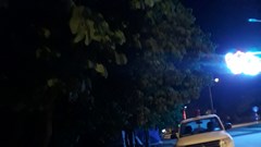 “Cấp phát cho em một anh người yêu với nhé”