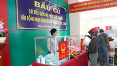 Ninh Thuận: Đến 17g đã có 273/460 khu vực bỏ phiếu có 100% cử tri đi bầu
