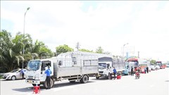 Cần Thơ tạm dừng hoạt động vận tải hành khách đi 31 tỉnh, thành