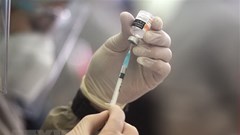 ASEAN và Liên minh châu Âu đối thoại về vaccine ngừa Covid-19
