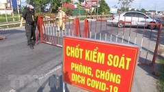 Bà Rịa-Vũng Tàu: Cấm tắm biển, tạm dừng hoạt động vận tải hành khách