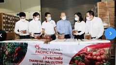 Vải thiều chinh phục thị trường EU, mở rộng thương hiệu nông sản Việt