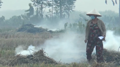 Khói đốt rơm rạ "bủa vây" ngoại thành Hà Nội