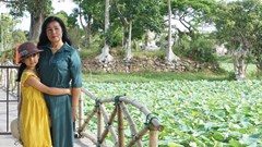 “Hồi sinh” sen trắng cho cảnh quan Huế