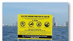 Cần bảo vệ tài nguyên biển khi khai thác du lịch