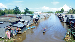 Đi chợ “trôi” Năm Căn