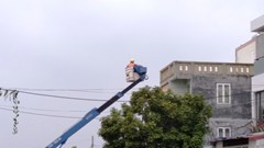 Cưỡng chế khu đất 9,2 ha Quận Hải An(Hải Phòng): Không đền bù cho những trường hợp vi phạm