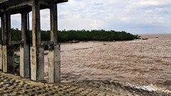 Hải Phòng: Triển khai Đề án phòng, chống sạt lở bờ sông, bờ biển đến năm 2030