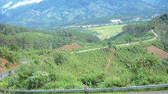Thăm “Rừng xà nu”