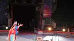 Xiếc thú thay "diễn viên"