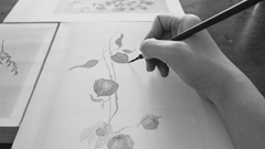 Workshop nghệ thuật: Hiện thực hóa những đam mê