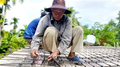 Câu chuyện về những lão nông 'nối nhịp bờ vui' ở Cần Thơ