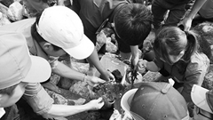 Đồng quản lý bảo tồn biển tại Cù Lao Chàm