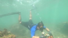 Đà Nẵng: Hành động ứng phó với rác thải nhựa, làm sạch môi trường biển