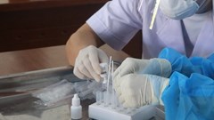 Lâm Đồng: Khởi tố vụ án làm lây lan dịch Covid-19 ở huyện Đạ Tẻh