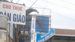 Cần thường xuyên sửa chữa bảng hiệu tên đường phố