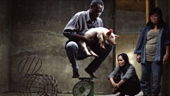 Bộ phim "Vị" phạm điều cấm của Luật Điện ảnh: Không được phép phổ biến dưới bất kỳ hình thức nào