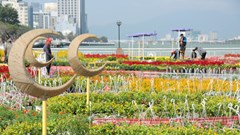 Sông Hàn Tết này đẹp lộng lẫy với con đường hoa Xuân sắc màu