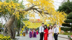 “Vườn mai vàng rực” bung nở trong lễ hội “Mai vàng sắc xuân” Sun World Danang Wonders