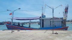 Quảng Ngãi: 12 ngư dân dương tính SARS-CoV-2