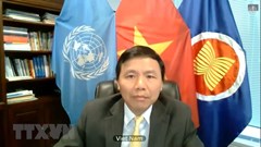 Tầm quan trọng của UNCLOS trong bảo tồn bền vững biển và đại dương