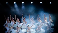 Cần có đội ngũ nhân tài văn hóa thực tài, thực đức