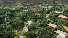 Avana Retreat- bức họa giữa núi rừng Tây Bắc