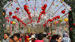 Chưa du xuân điểm đến hot nhất Tây Bắc tết này, bạn đã bỏ phí cả mùa xuân