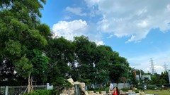 Văn hoá- trục xuyên tâm của sự tồn vong doanh nghiệp