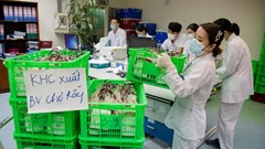 1.000 đơn vị máu "bay" vào TP HCM tiếp sức cho bệnh nhân