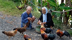 Giáo dục truyền thống gia đình, dòng họ qua gia phả phải được quan tâm đúng mức