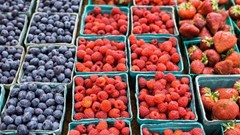 Những loại thực phẩm chống viêm nhiễm tốt nhất bạn nên ăn mỗi ngày