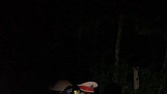 Tiếp tục đón người dân về quê