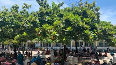 Bệnh nhân Covid-19 đầu tiên ở Quảng Ngãi tử vong