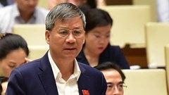 Tạo cơ chế để ngành bảo tàng hội nhập với nền kinh tế thị trường