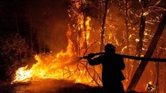 Thủ đô của Hy Lạp chìm trong khói bụi dày đặc do cháy rừng