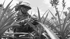 Ngày vì Nạn nhân chất độc da cam 10.8: Vượt qua nỗi đau