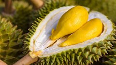 Sầu riêng Việt "cháy hàng" tại Australia