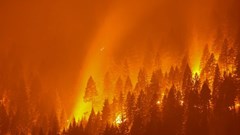 Báo cáo khí hậu của LHQ có khả năng đưa ra những cảnh báo rõ ràng về sự nóng lên toàn cầu