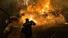 Hy Lạp: Cháy rừng tiếp tục hoành hành trên bán đảo Peloponnese