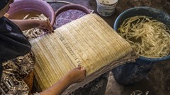 Những người làm giấy cói tại Ai Cập: Chúng tôi luôn giữ lửa truyền thống