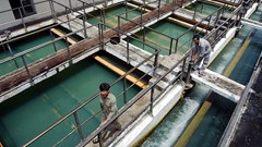 Hà Nội đề xuất giảm tiền nước sinh hoạt 4 tháng cuối năm