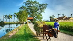 Văn học một thời để nhớ: Bây giờ ai viết về nông thôn?