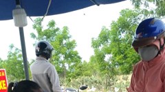 Huyện nghèo của Ninh Thuận quyết giữ “vùng xanh”