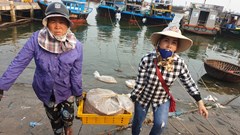 Quảng Ngãi: Tạo điều kiện để ngư dân khai thác, mua bán hải sản nhưng phải đảm bảo an toàn trong phòng, chống dịch