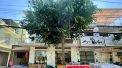 Những chuyến xe yêu thương hướng về tâm dịch